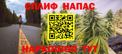 твердый Можга