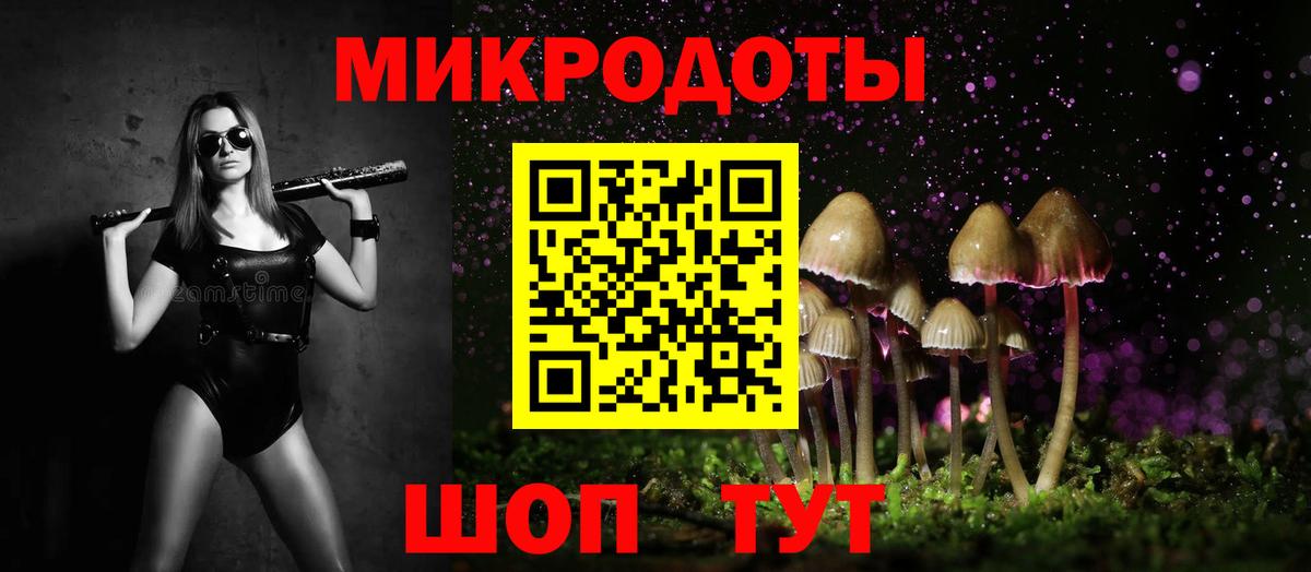Галлюциногенные грибы Psilocybine cubensis Киржач