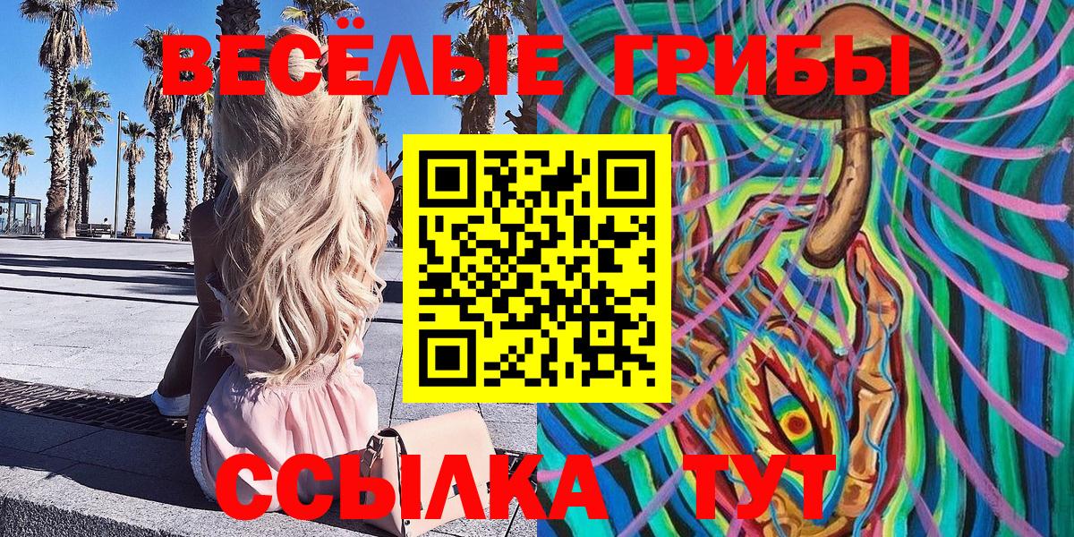 Киржач  Псилоцибиновые грибы GOLDEN TEACHER  Галлюциногенные грибы Cubensis  Вход с VPN 